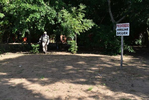 Dengue avanza sin freno pero Gobierno evita declarar emergencia - Nacionales - ABC Color