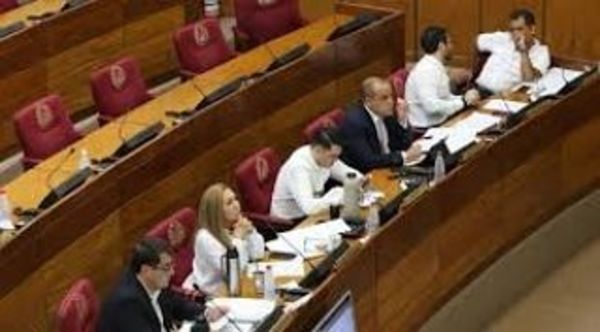 Comisión permanente analiza estado de excepción para Amambay