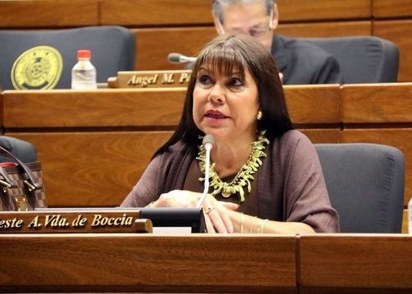 Diputada Celeste Amarilla asegura que Kattya Gonzales intenta congraciarse con la prensa