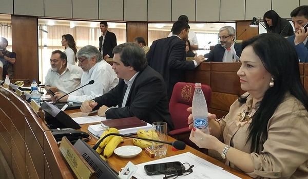 Sectores de izquierda niegan acusaciones sobre proyectos de inestabilidad