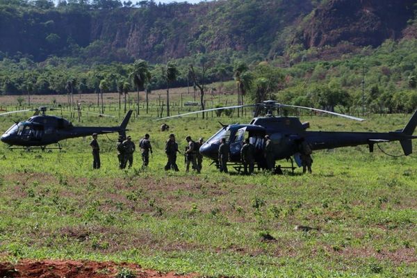 Realizan operativo conjunto en Pedro a Juan Caballero contra narcos