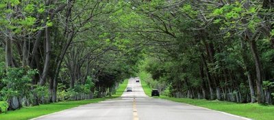 Santa Elena con cero casos sospechosos de dengue | Info Caacupe