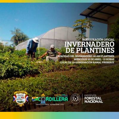 Inauguración oficial del Invernadero de producción de plantines forestales | Info Caacupe