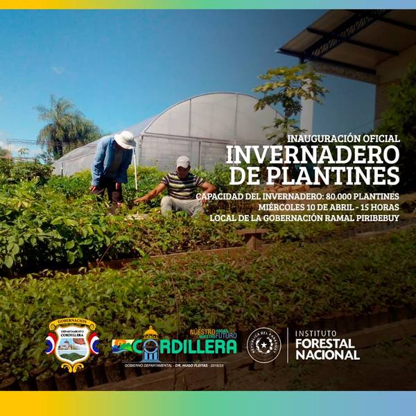 Inauguración oficial del Invernadero de producción de plantines forestales | Info Caacupe