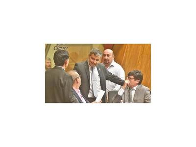PLRA también se prepara para aprobar la versión Senado