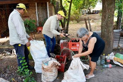 Hay desinterés para eliminar criaderos, advierte el  Senepa - Locales - ABC Color