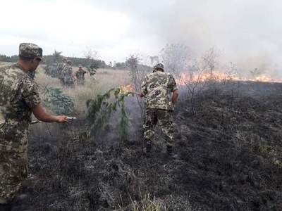 La inconsciencia predomina en San Bernardino, incendios intentan ganar la batalla | Info Caacupe