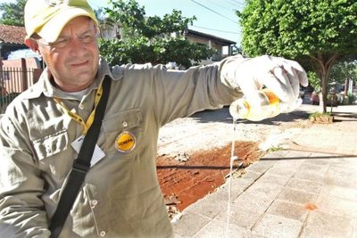SENEPA notificó que el 95% de las casas tienen criaderos de mosquitos - .::RADIO NACIONAL::.