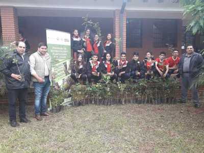 La Secretaría de Ambiente y Turismo de la Gobernación entrega plantines de especies nativas | Info Caacupe