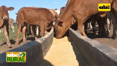 Programa 13: Estancia Mbutuy - ABC Rural - ABC Color