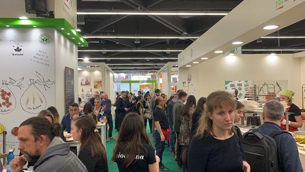 Chía y sésamo serán exportados a la Unión Europea