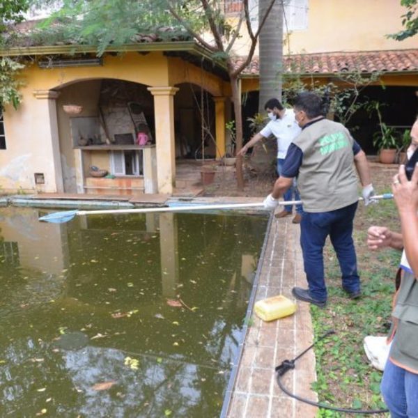 Dueño de la "Mansión de los mosquitos" no estaba al tanto de la situación, afirma abogada - ADN Paraguayo