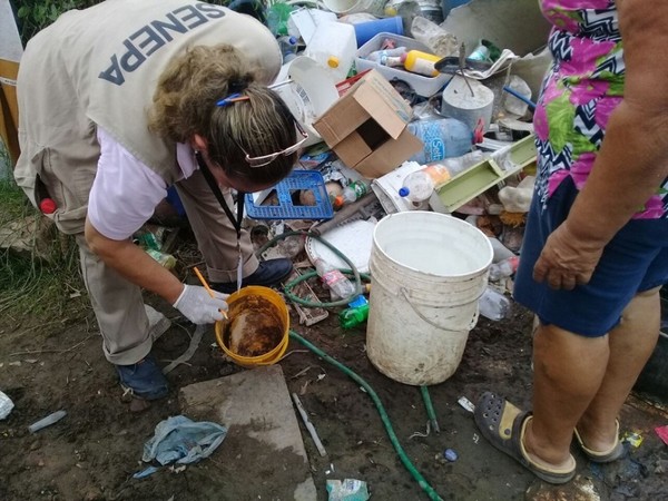 El 95% de las casas tienen criaderos de mosquitos, según reporte del Senepa