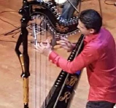 Roban arpa del músico Marcelo Rojas