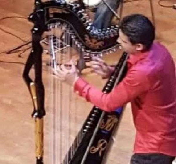Roban arpa del músico Marcelo Rojas