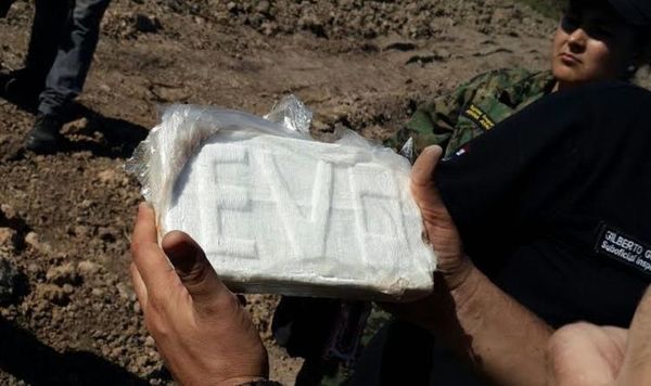 Paquetes de cocaína con sello
