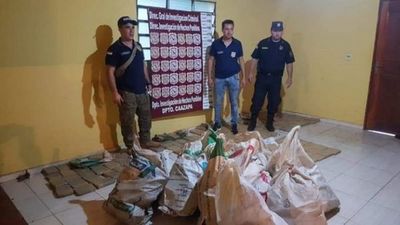 Hallan abandonados 385 kilos de marihuana prensada en Caazapá