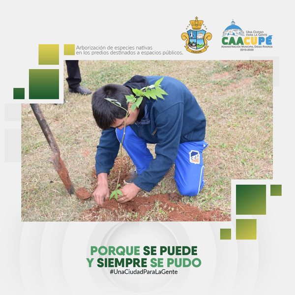 Secretaría de Medio Ambiente de Caacupé inicia arborización en espacio públicos | Info Caacupe
