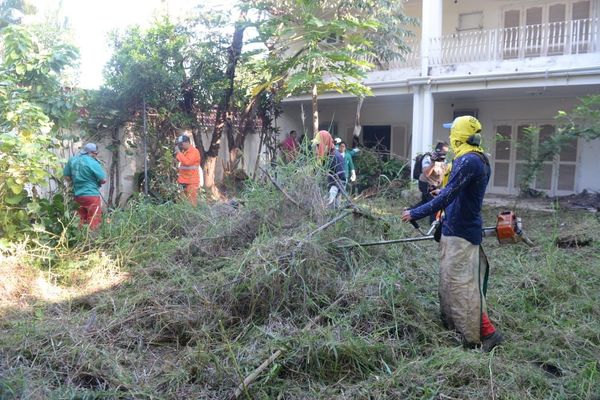 Un 95% de las casas tiene criaderos de dengue, dicen desde SENEPA