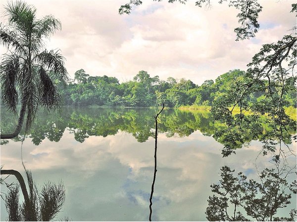 En marcha  proyecto para proteger y generar turismo  en el lago Yrendy