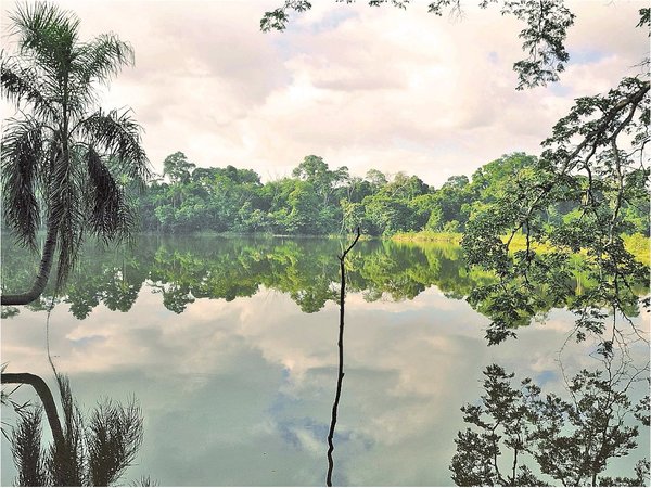 En marcha proyecto para proteger y generar turismo en el lago Yrendy