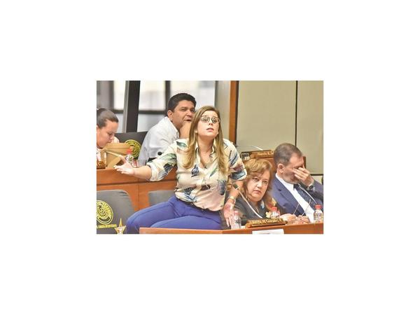 Kattya vaticina que Diputados sancionará ley de financiamiento