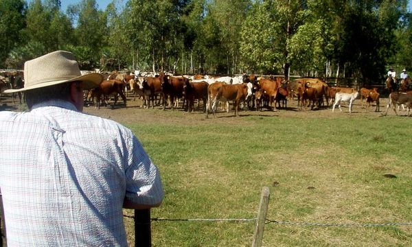 Paraguay entre los países que menos contaminan con CO2 - Economía - ABC Color