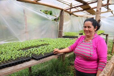 Casi 10 mil nuevas familias beneficiadas por programa Tenonderã en 2019