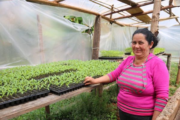 Casi 10 mil nuevas familias beneficiadas por programa Tenonderã en 2019