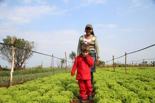 Programa Tenonderã potenció cobertura con casi 10.000 familias más en 2019 | .::Agencia IP::.