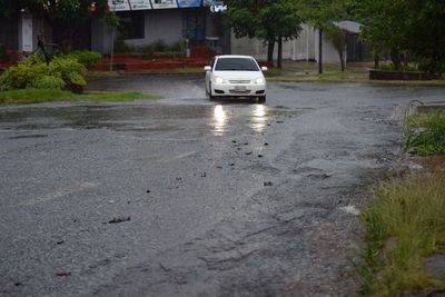 Lluvia suave y mansa beneficia a cultivos - Nacionales - ABC Color
