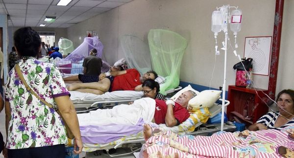 Mercosur convoca a autoridades sanitarias para analizar dengue y nuevas epidemias - Mundo - ABC Color