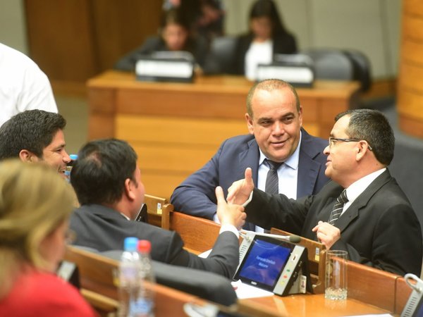 Diputados define proyecto de financiamiento político y emergencia por dengue