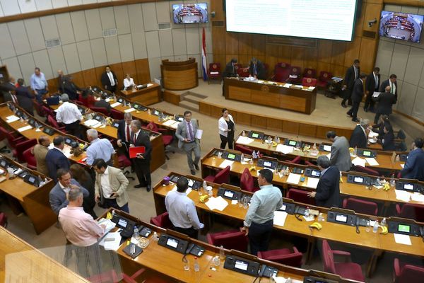 Los diputados aprobarían hoy las modificaciones hechas en el Senado