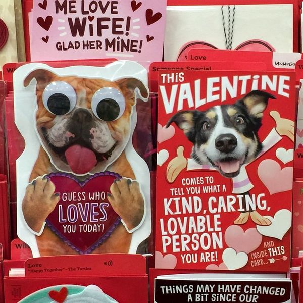 El San Valentín de los perros - Mascotas - ABC Color
