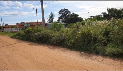 Baldíos siguen sucios y el dengue avanza afectando Concepción