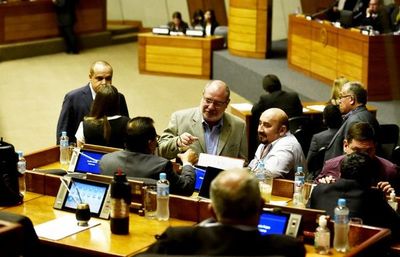 Financiamiento: Ortiz dice que “Llano le aclaró” y rectificará su voto - Nacionales - ABC Color