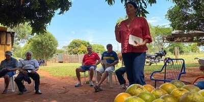 Solicitan que las naranjas de General Delgado sean reconocidas como denominación de origen | .::Agencia IP::.