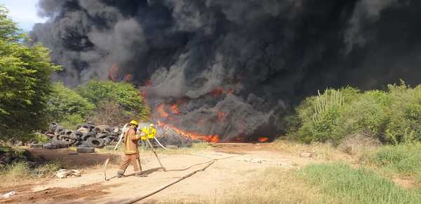 Viento, pasto y materia inflamable: Escenario de un gran incendio en el vertedero de Filadelfia