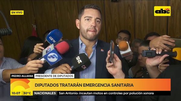 Pedro Alliana sobre financiamiento político - ABC Noticias - ABC Color