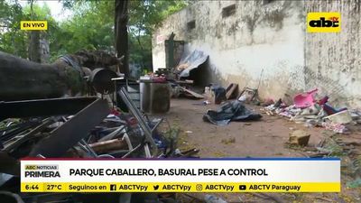 Parque Caballero: Basural pese a control - ABC Noticias - ABC Color