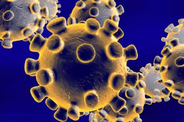 Genera alerta en Foz de Iguazu falso diagnóstico de coronavirus - Noticde.com