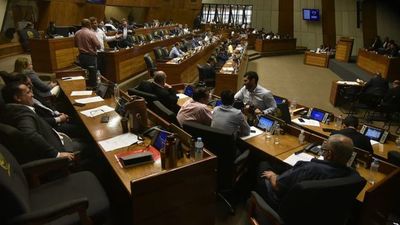 Sancionan proyecto de ley que declara emergencia por el dengue - Nacionales - ABC Color