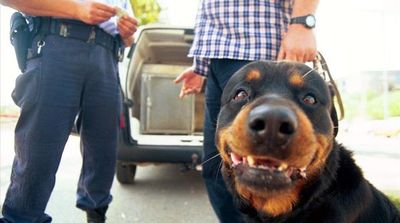 Investigan por omisión de auxilio a dueño de rottweiler que atacó a niño