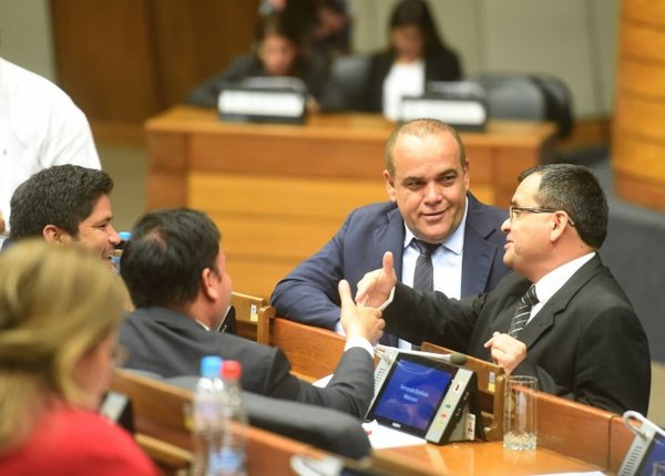 Dengue: diputados aprueban emergencia y postergan sanción a quienes no eliminan criaderos