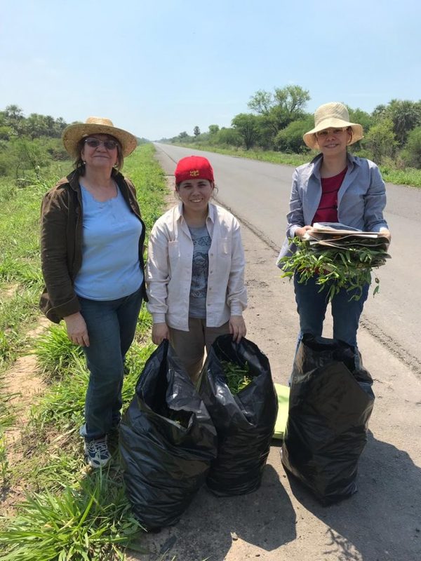 Científicas paraguayas son premiadas por sus estudios sobre plantas medicinales