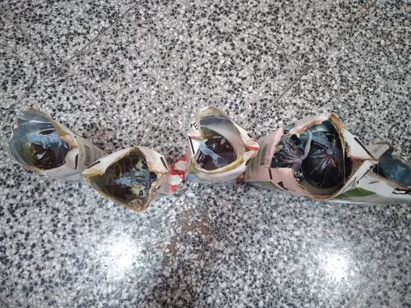 Ingresaron bebidas alcohólicas en envases de leche en el penal de Concepción - Nacionales - ABC Color