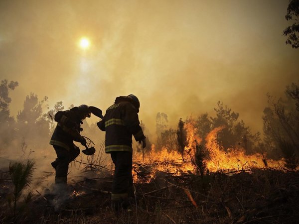 Incendio forestal obliga a autoridades chilenas a cerrar parque nacional