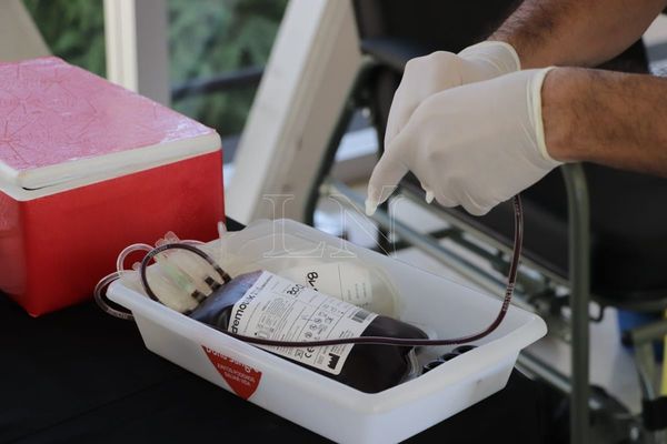 Realizarán jornada de donación de sangre en Fernando de la Mora
