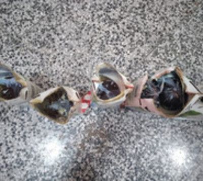 En cárcel de Concepción intentan meter vinos en envases de leche  - Paraguay.com